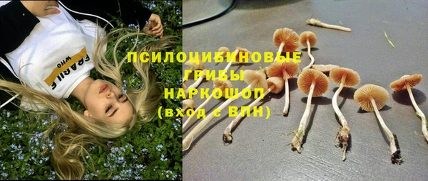 мескалин Баксан