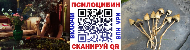 купить  сайты  Кущёвская  Галлюциногенные грибы GOLDEN TEACHER 
